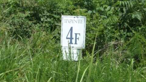 Lot 4F Trout Lane, Hilham, TN 38568
