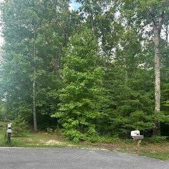 Fox Ridge Dr, Grimsley, TN 38565