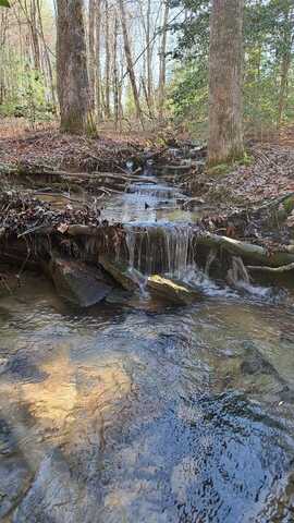Tract 26 Airport Rd – Piney Creek Acres, Rockwood, TN 37854