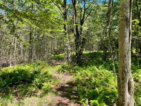 3045 Red Hill Road, Grahamsville, NY 12740