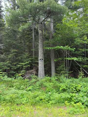 Lot 27 N Eliza Creek, Mohawk, MI 49950