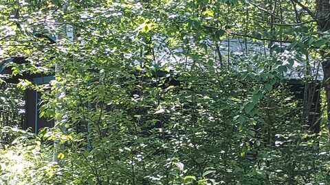 25702 M-64, Ontonagon, MI 49953