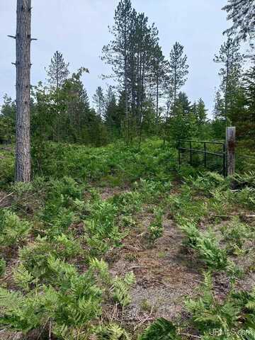 TBD Buckhaven, Newberry, MI 49868