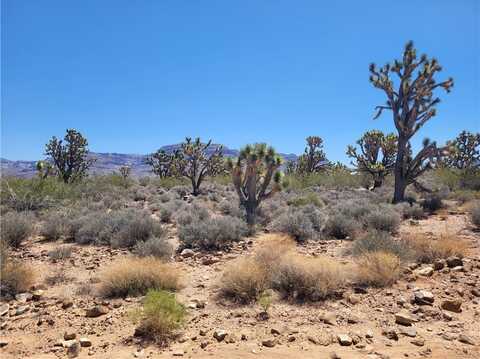 26776 N Yucca Road, Meadview, AZ 86444