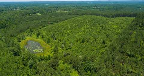 BLANTON Rd, Oakman, AL 35579