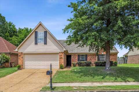 9830 OLDHAM, Cordova, TN 38016