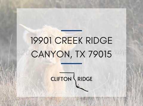 19901 Creek Ridge Ridge, Canyon, TX 79015