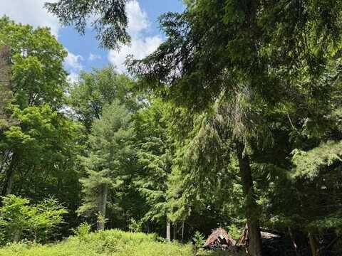 00 Cold Spring Road, Old Forge, NY 13420