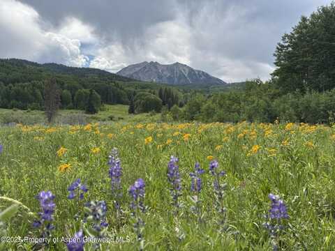 Tdr TDR, Aspen, CO 81611