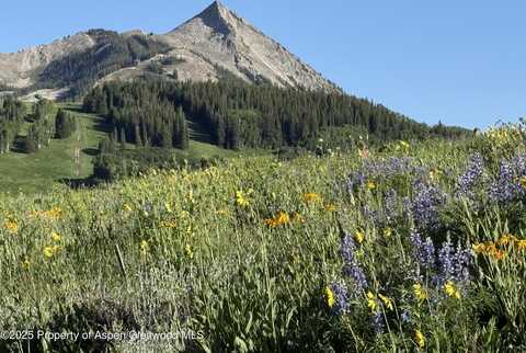 Tdr TDR, Aspen, CO 81611