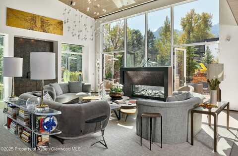 219 N Monarch Street, Aspen, CO 81611