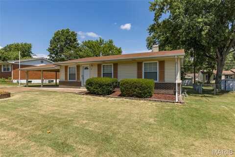 437 Sappington Barracks Road, Unincorporated, MO 63125