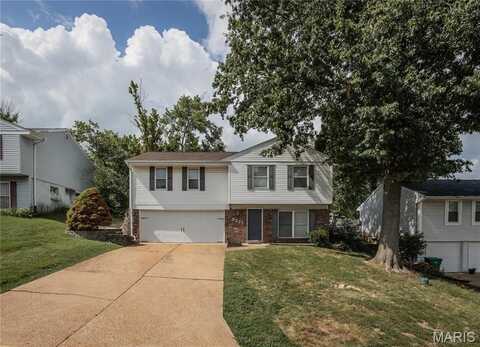 5337 Gloucester Road, High Ridge, MO 63049