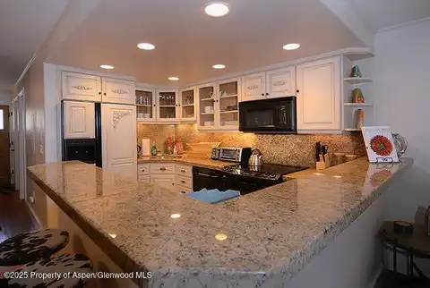 800 E Hopkins Avenue, Aspen, CO 81611