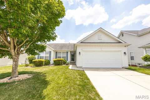 3033 Wye Oak Drive, Belleville, IL 62221