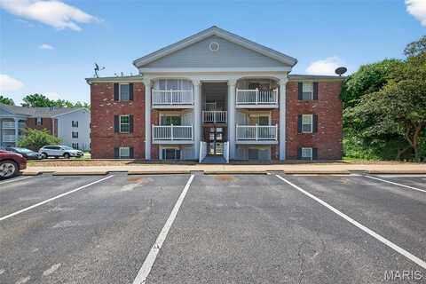 1923 Marine Terrace Drive, Saint Louis, MO 63146