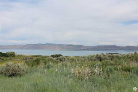 100 LOTUS, Fish Haven, ID 83287