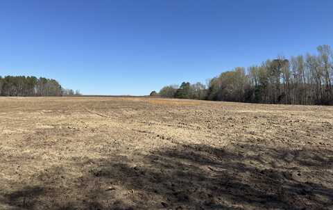 Tract 1 Buttercup Drive, Ward, SC 29166