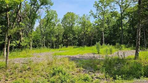 2472 E Squire Road, Marthasville, MO 63357