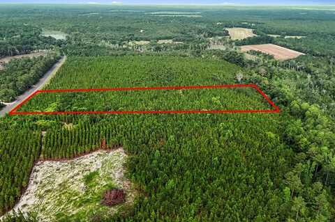687 White Pond Road, Williston, SC 29853