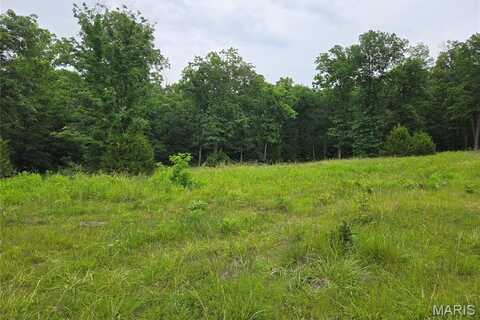 0-1 Mark Peterson Drive, Wright City, MO 63390