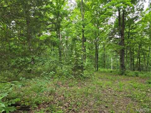 0 Mark Peterson Drive, Wright City, MO 63390