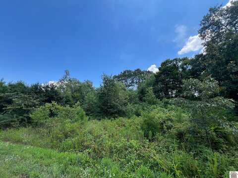 Lot 58 Western Shores, Phase III, Murray, KY 42071