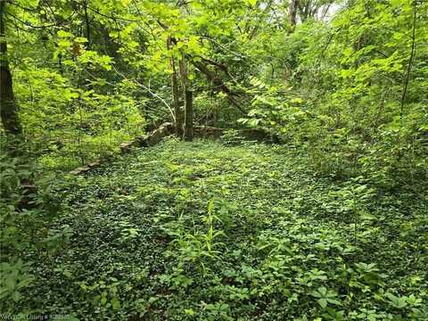 TBD N 71 HWY, Winslow, AR 72959