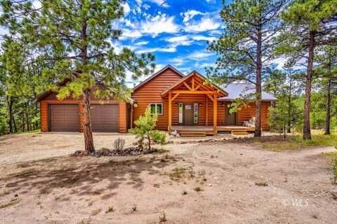 4513 CO RD 323, Westcliffe, CO 81252