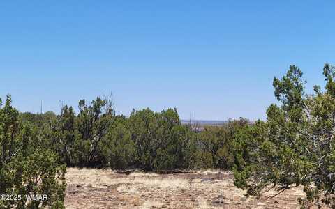 8442 Lake Ridge Road, Show Low, AZ 85901