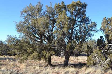 5450 County Line Road, Snowflake, AZ 85937