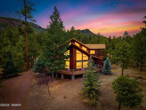 17 County Road 2195, Alpine, AZ 85920