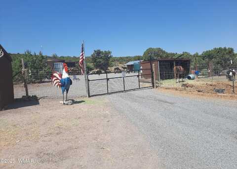 9952 S Buffalo Ridge Drive, Show Low, AZ 85901