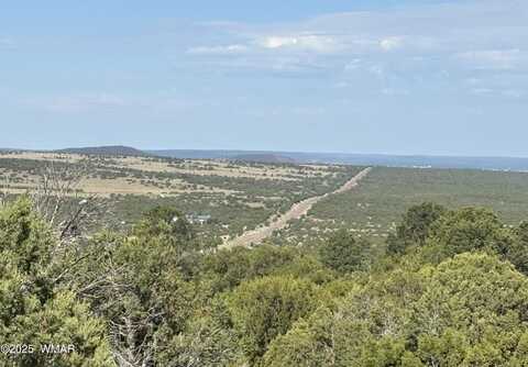 60 County Road 8140, Vernon, AZ 85940