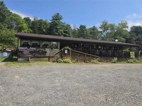 2879 Winslow Hill Rd, Benezette, PA 15821
