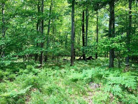 Garfield Boulevard lot: 1-6, Roscommon, MI 48653