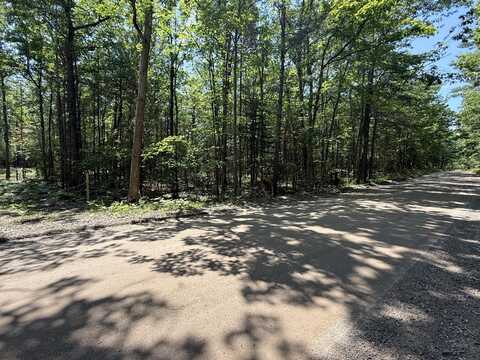 6287 Waubun Road, Indian River, MI 49749