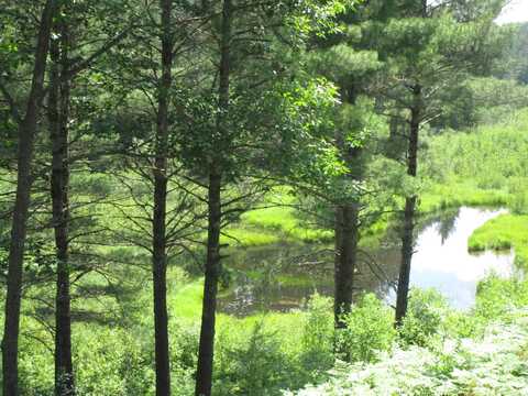 14796 E Shore Line Drive, Wolverine, MI 49799