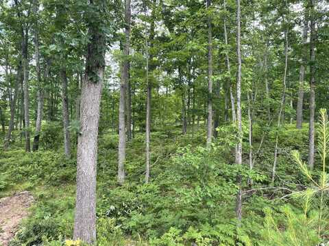 10 Acres School Road, Roscommon, MI 48653