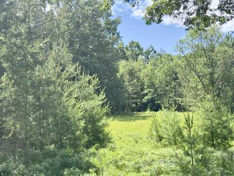 3869 W Pinewood Drive, Roscommon, MI 48653