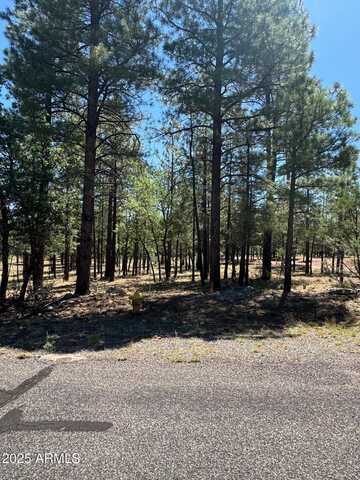 2887 SPARROW Drive, Happy Jack, AZ 86024