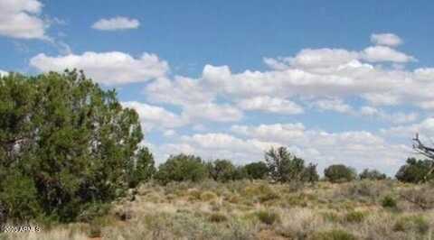 Tbd Chevelon Canyon Ranch 363 --, Heber, AZ 85928