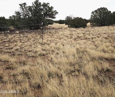 8387 High Plains Road, Show Low, AZ 85901