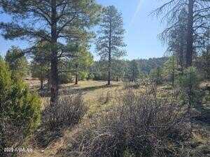 3326 Black Canyon Road, Heber, AZ 85928