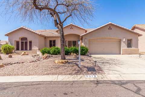 5372 S CAT CLAW Drive, Gold Canyon, AZ 85118