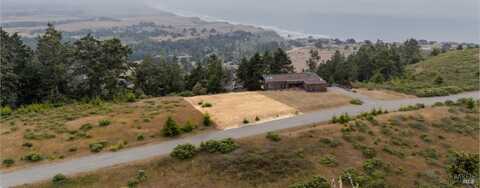 43471 Alta Mesa Road, Manchester, CA 95459