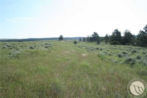 Lot 74 High Pines Bluff, Columbus, MT 59019