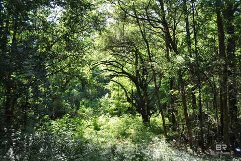 0 Boothe Road, Fairhope, AL 36532