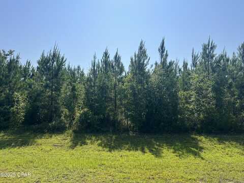 0 SE Nadine Stone Landing Road, Kinard, FL 32449
