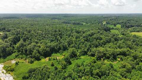 Ascalmore Creek Road Road, Cascilla, MS 38920